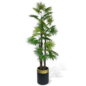 Yapay Ağaç Yelpaze Palmiye 4katlı Fanpalm 32 Yaprak Altın Kemerli Siyah Saksıda 170*65cm