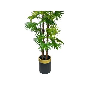 Yapay Ağaç Yelpaze Palmiye 4katlı Fanpalm 32 Yaprak Altın Kemerli Siyah Saksıda 170*65cm