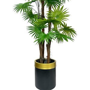 Yapay Ağaç Yelpaze Palmiye 4katlı Fanpalm 32 Yaprak Altın Kemerli Siyah Saksıda 170*65cm