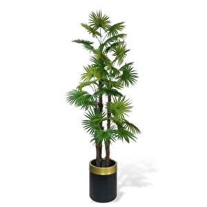 Yapay Ağaç Yelpaze Palmiye 4katlı Fanpalm 32 Yaprak Altın Kemerli Siyah Saksıda 170*65cm