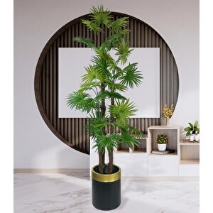 Yapay Ağaç Yelpaze Palmiye 4katlı Fanpalm 32 Yaprak Altın Kemerli Siyah Saksıda 170*65cm