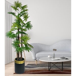 Yapay Ağaç Yelpaze Palmiye 4katlı Fanpalm 32 Yaprak Altın Kemerli Siyah Saksıda 170*65cm