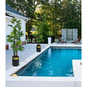 Yapay Ağaç Yelpaze Palmiye 4katlı Fanpalm 32 Yaprak Altın Kemerli Siyah Saksıda 170*65cm