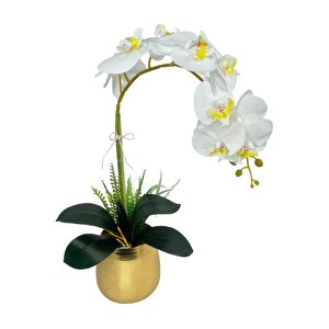 Yapay Çiçek Beyaz Islak Orkide Gold Metal Saksıda Seramik Saksıda Orkide 60cm