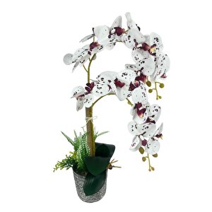 Yapay Çiçek 2li Benekli Bordo Islak Orkide Seramik Saksıda Orkide 60cm