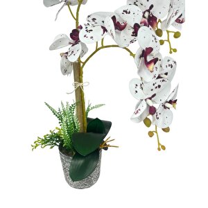 Yapay Çiçek 2li Benekli Bordo Islak Orkide Seramik Saksıda Orkide 60cm