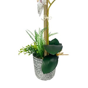 Yapay Çiçek 2li Benekli Bordo Islak Orkide Seramik Saksıda Orkide 60cm