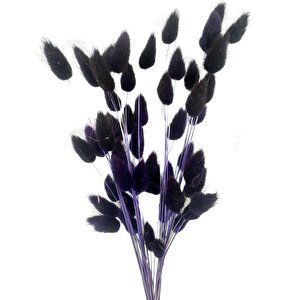 Kuru Çiçek Doğal Koyu Laci̇vert Pamuk Otu 10gram 1. Kalite Şoklanmış Bozulmaz