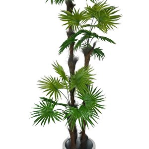 Yapay Ağaç Palmiye Fanpalm 3katlı 24yaprak Gümüş Kemerli Beyaz Saksıda 165*65cm