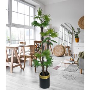 Yapay Ağaç Palmiye Fanpalm 3katlı 24yaprak Gold Kemerli Siyah Saksıda 165*65cm