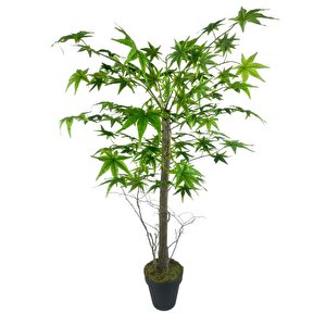 Yapay Ağaç Yeşil Japon Akçaağacı 100x70cm Siyah Plastik Saksılı