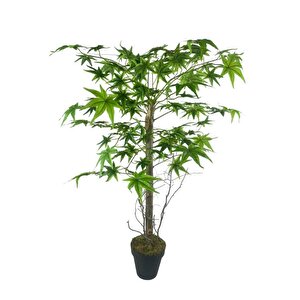 Yapay Ağaç Yeşil Japon Akçaağacı 100x70cm Siyah Plastik Saksılı