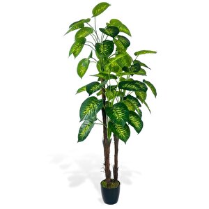 Yapay Çiçek Difenbahya Sarı Yeşil 3katlı 160cm 54yaprak Siyah Plastik Saksıda Yapay Bitki