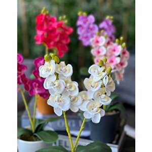 5li Set Yapay Çiçek Orkide Renkli Saksıda Gerçekçi Doku Karışık Renkli 30cm