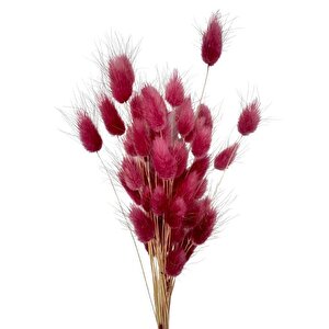 Kuru Çiçek Doğal Bordo Açik Pamuk Otu 10gram 1. Kalite Şoklanmış Bozulmaz