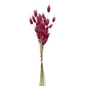 Kuru Çiçek Doğal Bordo Açik Pamuk Otu 10gram 1. Kalite Şoklanmış Bozulmaz
