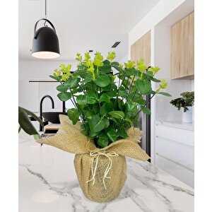 Yapay Çiçek Keten Saksıda Okaliptus Yeşil 12dal 40cm Salon Çiçeği Yapay Bitki