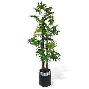 Yapay Ağaç Yelpaze Palmiye 4katlı Fanpalm 32 Yaprak Gümüş Kemerli Siyah Saksıda 170*65cm