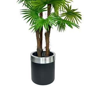Yapay Ağaç Yelpaze Palmiye 4katlı Fanpalm 32 Yaprak Gümüş Kemerli Siyah Saksıda 170*65cm