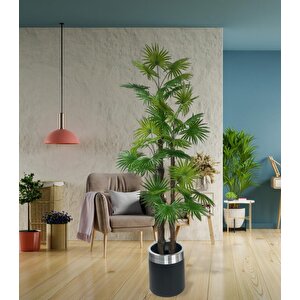 Yapay Ağaç Yelpaze Palmiye 4katlı Fanpalm 32 Yaprak Gümüş Kemerli Siyah Saksıda 170*65cm