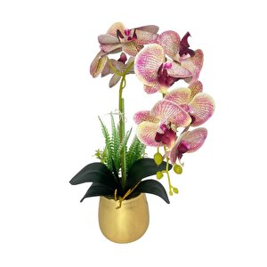 Yapay Çiçek Pembe Çilli Islak Orkide Gold Metal Saksıda Seramik Saksıda Orkide 60cm