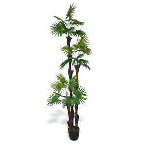 Yapay Ağaç Palmiye Fanpalm 3katlı 24yaprak Siyah Plastik Saksıda 165*65cm