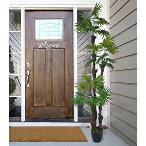 Yapay Ağaç Palmiye Fanpalm 3katlı 24yaprak Siyah Plastik Saksıda 165*65cm