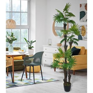 Yapay Ağaç Palmiye Fanpalm 3katlı 24yaprak Siyah Plastik Saksıda 165*65cm