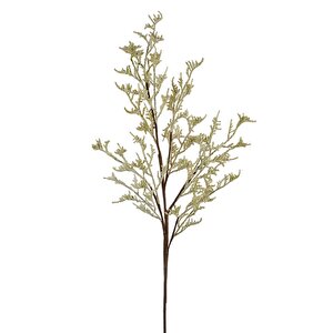 Seta Fw 4 Renk Mıx Dal 115 Cm
