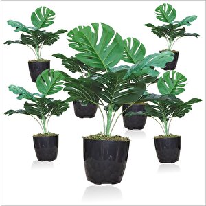 Yapay Uzun 40 Cm Çimli Saksılı Monstera Deliciosa Deve Tabanı Kauçuk Çiçeği Bitkisi Ağacı Yaprağı