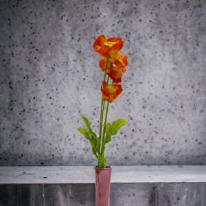 T.concept Gelincik Çiçeği Kırmızı
