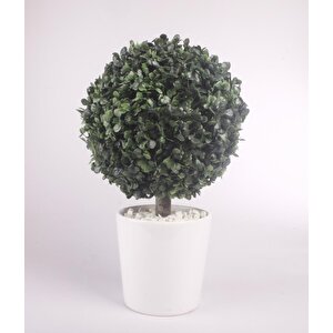 Yapay Ağaç Şimşir Top Tek Toplu 20x35cm Seramik Saksılı