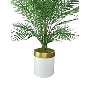 Yapay Ağaç Areka 130*60cm 40yapraklı Beyazgold Paslanmaz Saksıda