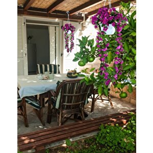 Yapay Çiçek Sarkan Menekşe Lila Begonvil Sarkaç Askılı Saksıda Balkon Çiçeği Çiçek Sepeti