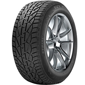 235/65r17 108h Xl Suv Winter (kış) (2023)