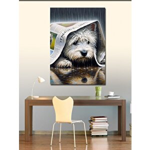 Kanvas Tablo Yağmur Gazete Ve Köpek