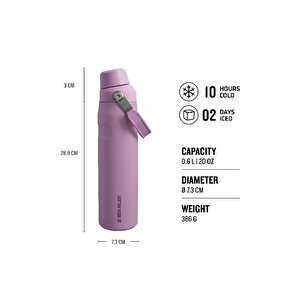 The Aerolight™ Iceflow™ Water Bottle Fast Flow 0.6l / 20oz Lila