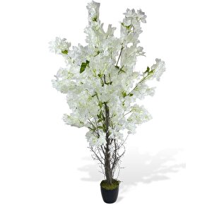 Yapay Ağaç Beyaz Begonvil Ağacı 150*60cm Doğal Görünümlü Yapay Ağaç