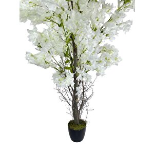 Yapay Ağaç Beyaz Begonvil Ağacı 150*60cm Doğal Görünümlü Yapay Ağaç