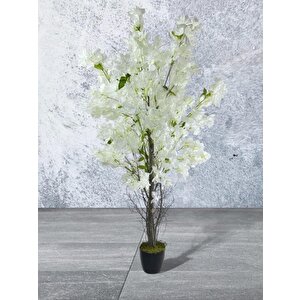 Yapay Ağaç Beyaz Begonvil Ağacı 150*60cm Doğal Görünümlü Yapay Ağaç