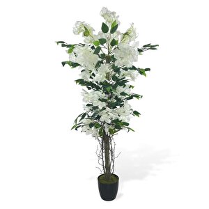 Yapay Ağaç Yapraklı Beyaz Begonvil Ağacı 120*55cm Doğal Görünümlü Yapay Ağaç