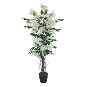Yapay Ağaç Yapraklı Beyaz Begonvil Ağacı 120*55cm Doğal Görünümlü Yapay Ağaç