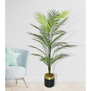 Yapay Ağaç Areka Ağacı Gold Halkalı Siyah Lüx Saksılı Palmiye Ağacı Salon Bitkisi 130 Cm 20 Yaprak
