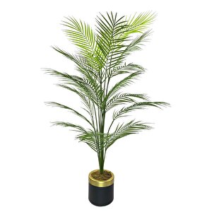Yapay Ağaç Areka Ağacı Gold Halkalı Siyah Lüx Saksılı Palmiye Ağacı Salon Bitkisi 130 Cm 20 Yaprak