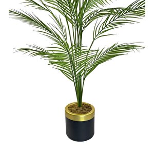 Yapay Ağaç Areka Ağacı Gold Halkalı Siyah Lüx Saksılı Palmiye Ağacı Salon Bitkisi 130 Cm 20 Yaprak