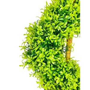 Yapay Ağaç Spiral Şimşir Ağacı İnce Yapraklı 160cm Bambu Saplı Salon Bitkisi Düz Yeşil