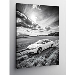 Kanvas Tablo Beyaz Araba 70x100 cm