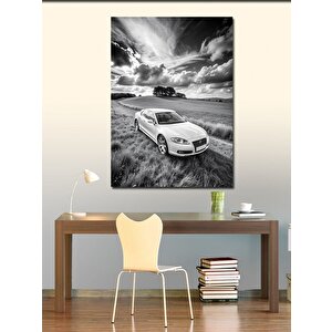 Kanvas Tablo Siyah Beyaz Tarla Ve Araba 70x100 cm