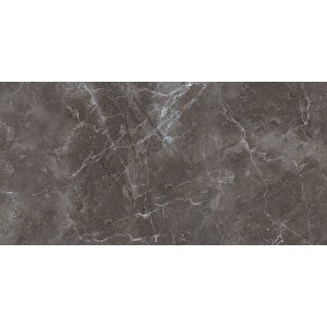 Sakarya Siyah 60x120 Full Parlak