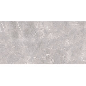 Sakarya Gri 60x120 Full Parlak
